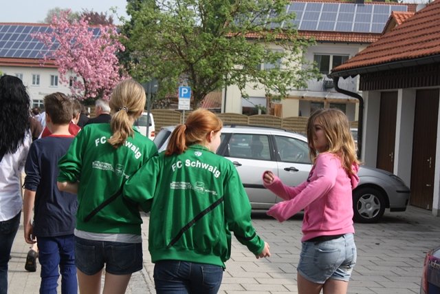 Maibaum 2013